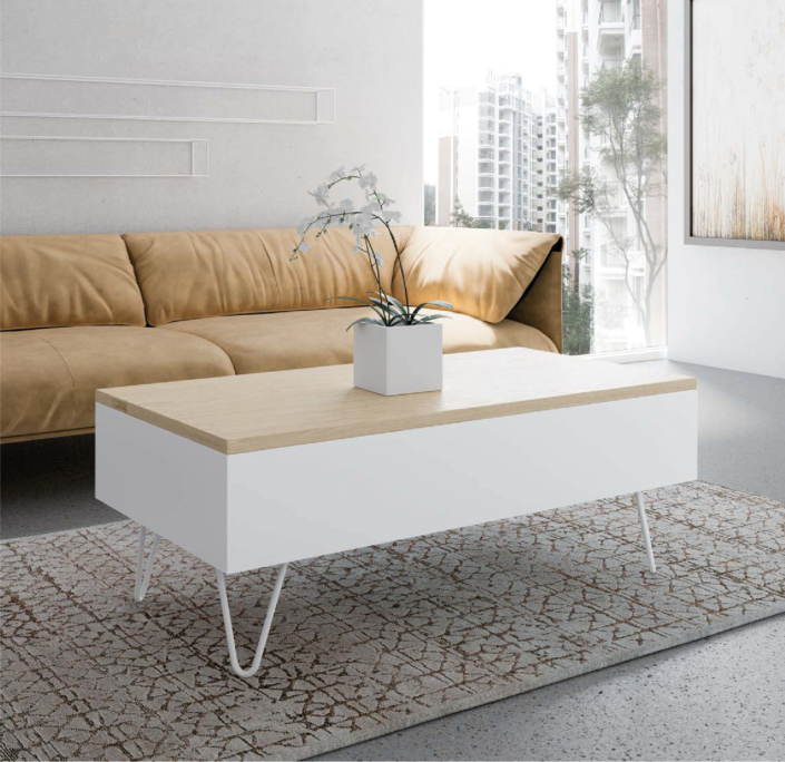DISEMOBEL KENDRA 01