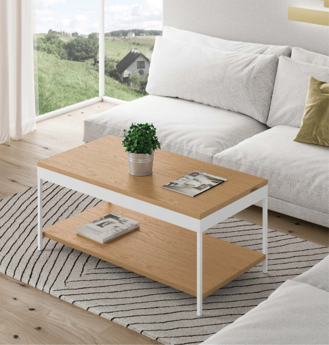 DISEMOBEL KENDRA 03