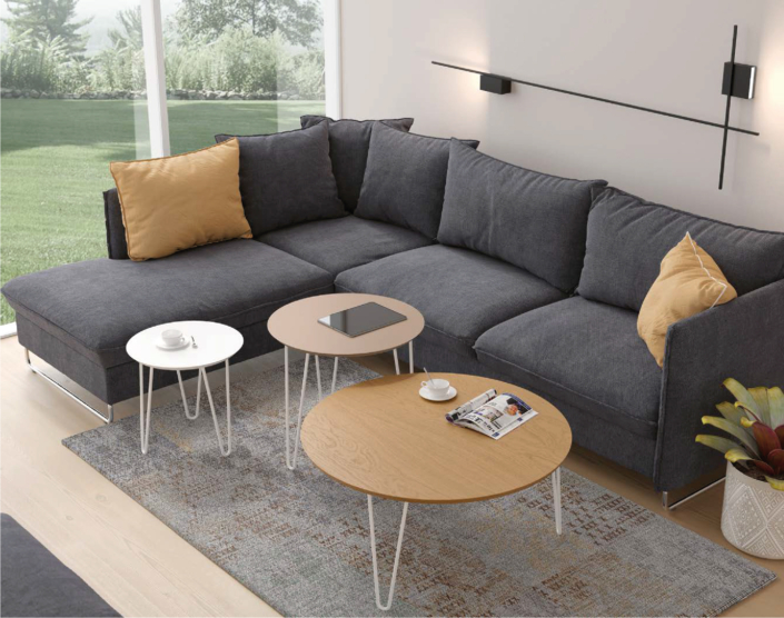 DISEMOBEL KENDRA 04
