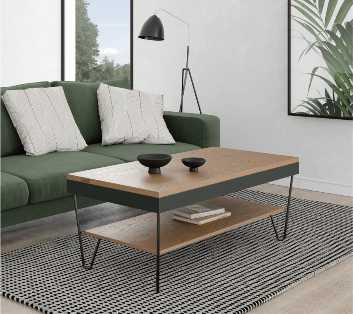 DISEMOBEL KENDRA 10